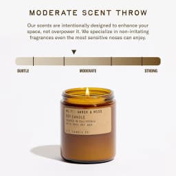 P.F. Candle Co. P.F. CANDLE CO NO.11 AMBER & MOSS  7.2 OZ SOY CANDLE - BROWN — (sc11)