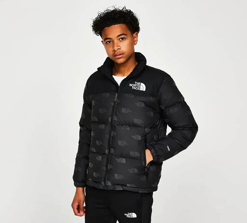 THE NORTH FACE PRINTED 1996 RETRO NUPTSE - BLACK/AOP REFLECTIVE — (nf0a7wqm97m)