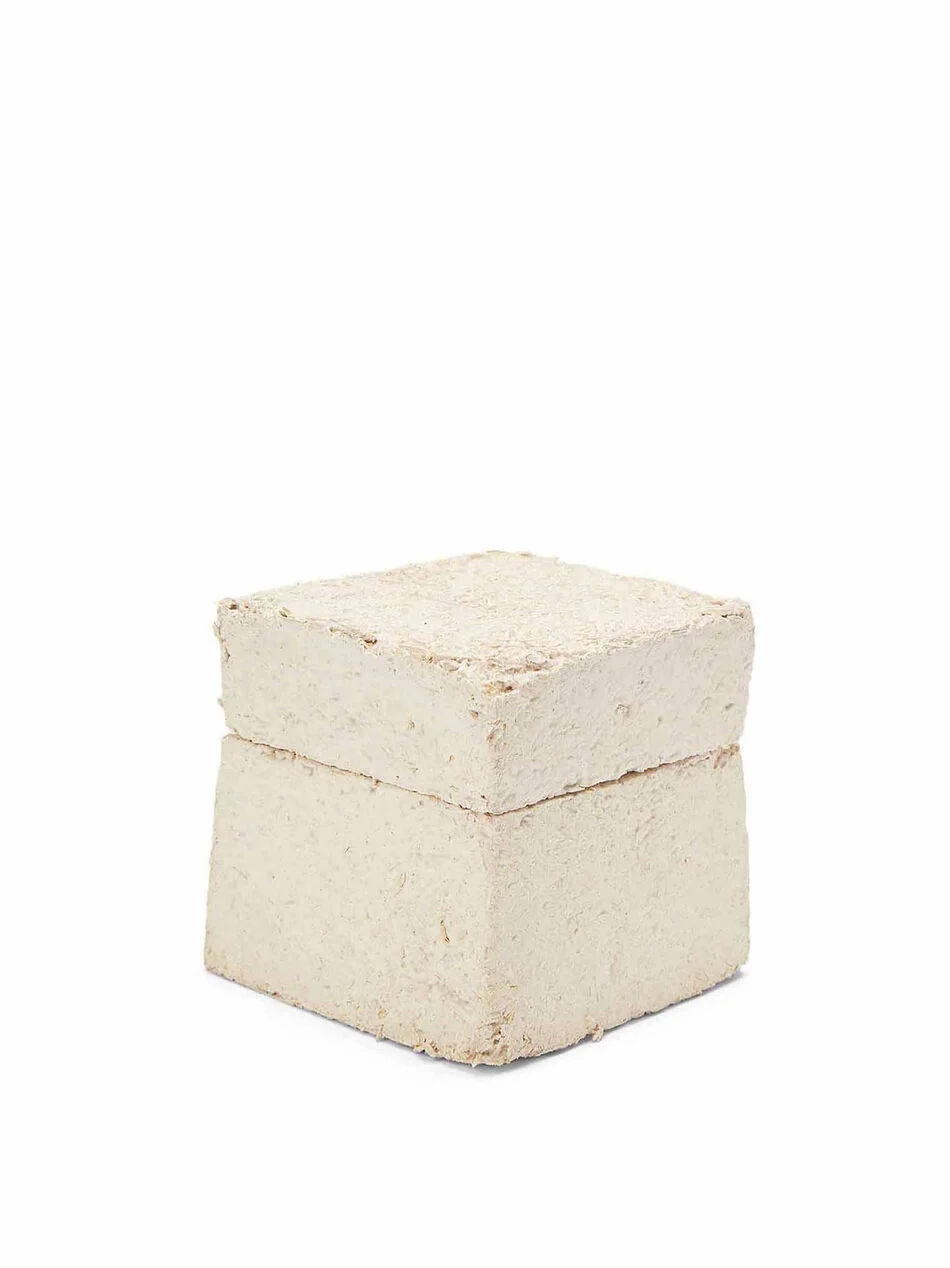 HAECKELS BOTANY CANDLE - WHITE