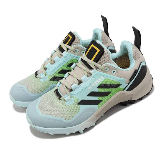 ADIDAS GORE-TEX TERREX SWIFT R3 GTX W x NATGEO